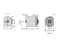 PTFS-260SA Carbon Brushed Direct Current (DC) Micro Motors - 2