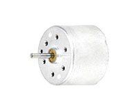 PTRF-310TA Precious Metal Brushed Direct Current (DC) Micro Motors