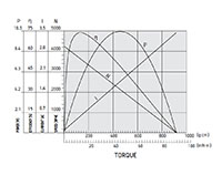 PTRS-545SA Carbon Brushed Direct Current (DC) Micro Motors - 3