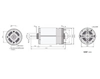 PTRS-550SA Carbon Brushed Direct Current (DC) Micro Motors - 2