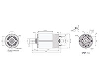 PTRS-555SM Carbon Brushed Direct Current (DC) Micro Motors - 2